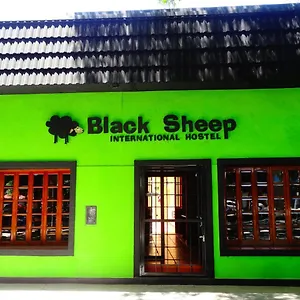 Black Sheep International Auberge de jeunesse